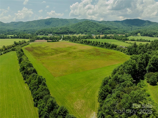 MINIFARM2 Coventry Dr, Brevard, NC 28712 - photo 14