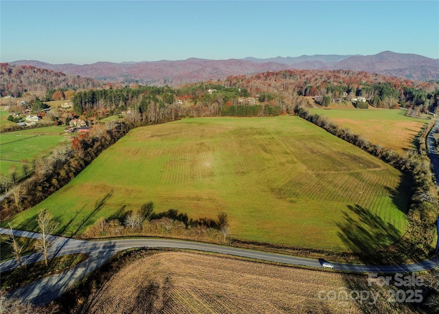MINIFARM2 Coventry Dr, Brevard, NC 28712 - photo 20
