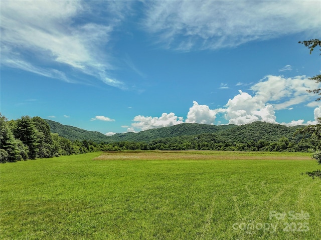 MINIFARM2 Coventry Dr, Brevard, NC 28712 - photo 22