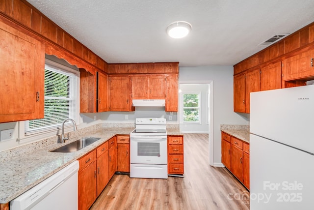 6513 Old Post Rd, Charlotte, NC 28212 - kitchen featuring white appliances, light wood-style floors, under cabinet range hood, and healthy amount of natural light