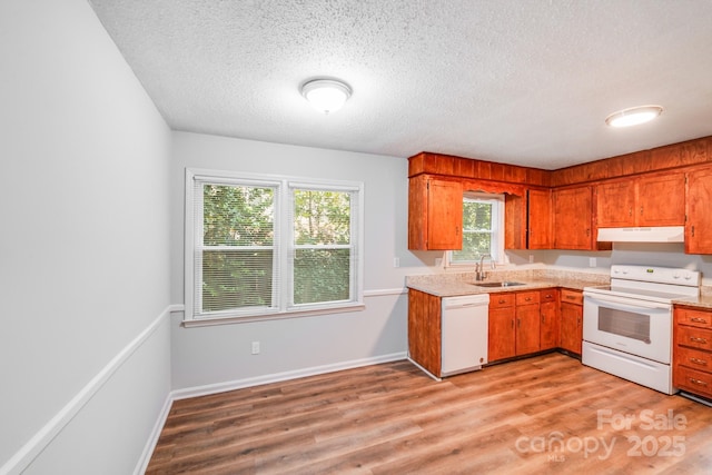 6513 Old Post Rd, Charlotte, NC 28212 - kitchen with white appliances, under cabinet range hood, light countertops, a textured ceiling, and light wood-type flooring