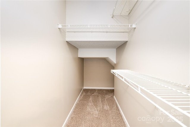 11531 Delores Ferguson Ln, Charlotte, NC 28277 - walk in closet featuring carpet