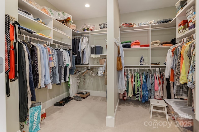 74 Shipman Pkwy Unit 2, Flat Rock, NC 28731 - photo 28