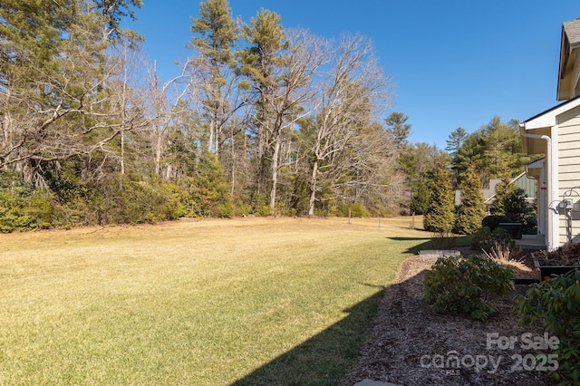 74 Shipman Pkwy Unit 2, Flat Rock, NC 28731 - photo 40