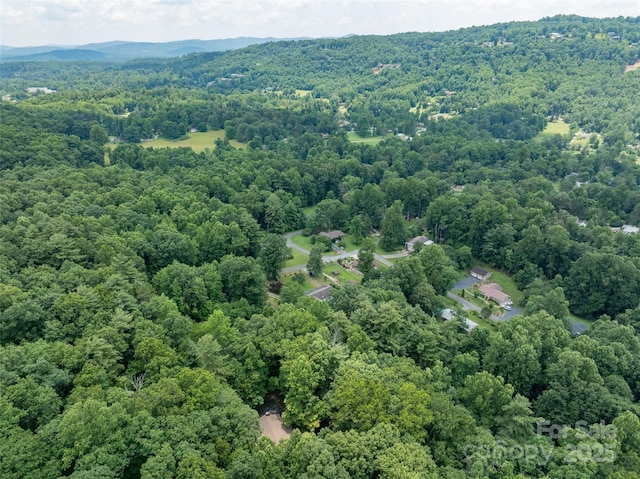 2344 Valencia Dr, Hendersonville, NC 28791 - photo 43