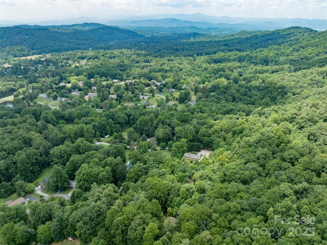 2344 Valencia Dr, Hendersonville, NC 28791 - photo 44