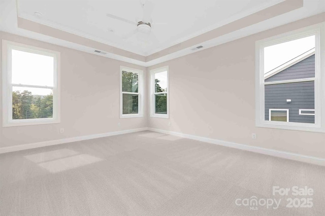 1074 Wylie Falls Ln, York, SC 29745 - spare room featuring a raised ceiling, carpet floors, and a ceiling fan