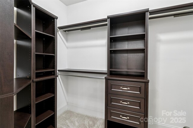 2411 Stoney Run Dr Unit 13, Oakboro, NC 28129 - spacious closet featuring carpet flooring