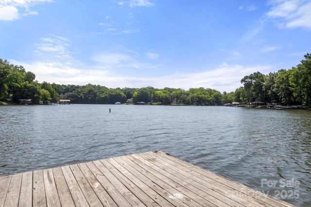 7645 Buckland Rd, Charlotte, NC 28278 - photo 3