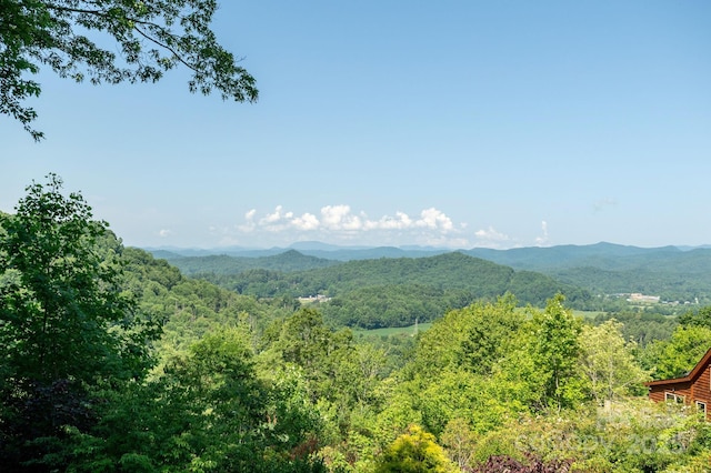 524 Three Mile Knob Rd Unit 3, Pisgah Forest, NC 28768 - photo 12