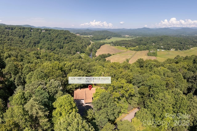 524 Three Mile Knob Rd Unit 3, Pisgah Forest, NC 28768 - photo 33