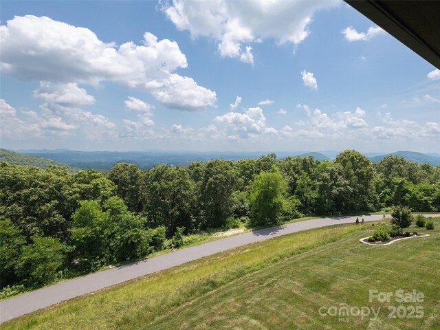 332 Summerset Dr, Hendersonville, NC 28792 - photo 42
