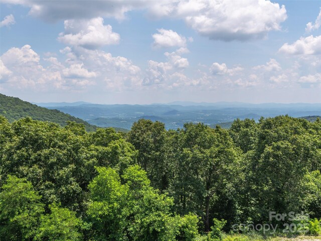 332 Summerset Dr, Hendersonville, NC 28792 - photo 45