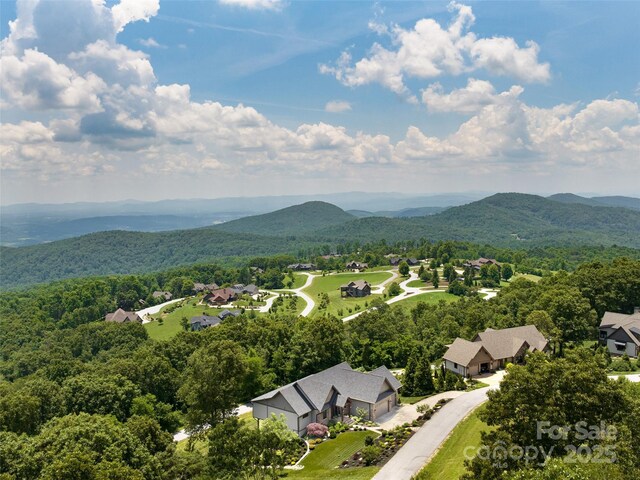 332 Summerset Dr, Hendersonville, NC 28792 - photo 46