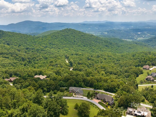 332 Summerset Dr, Hendersonville, NC 28792 - photo 47