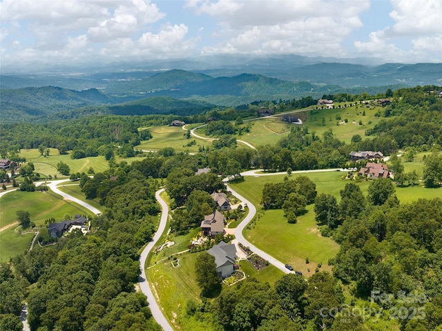 332 Summerset Dr, Hendersonville, NC 28792 - photo 48