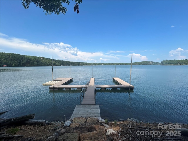 810 Marina Dr Unit 1, Nebo, NC 28761 - photo 21