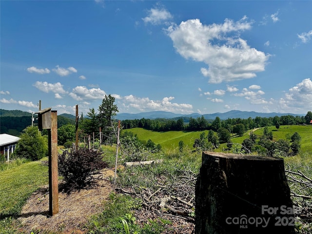 448 Hopson Heritage Ln, Burnsville, NC 28740 - photo 3