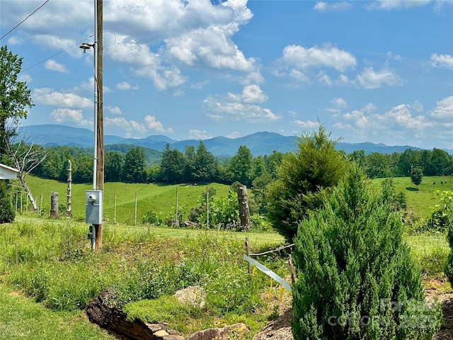 448 Hopson Heritage Ln, Burnsville, NC 28740 - photo 29