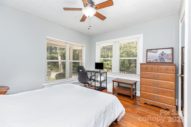 304 W Colonial Dr, Salisbury, NC 28144 - bedroom featuring wood finished floors and a ceiling fan