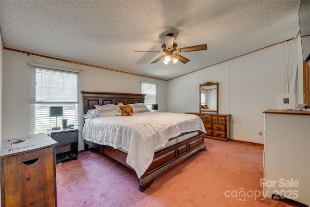 10435 Silver Mine Rd, Fort Mill, SC 29707 - photo 14