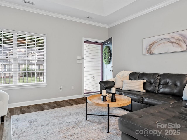 409 Danielle Way, Fort Mill, SC 29715 - living area with wood finished floors, healthy amount of natural light, and crown molding