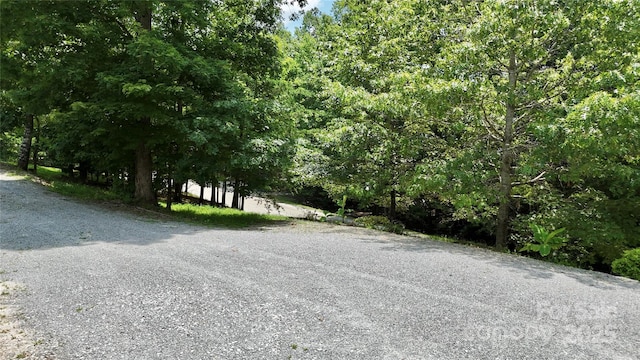37 Coyote Dr, Marion, NC 28752 - photo 10