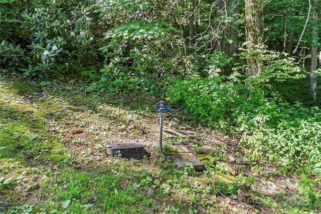 929 Soco Rd, Maggie Valley, NC 28751 - photo 13