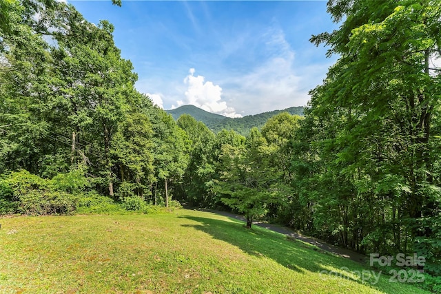 929 Soco Rd, Maggie Valley, NC 28751 - photo 16