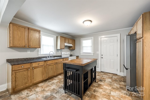 903 Rhode Island Ave, Kannapolis, NC 28083 - kitchen featuring white range with electric cooktop, freestanding refrigerator, butcher block countertops, under cabinet range hood, and ornamental molding