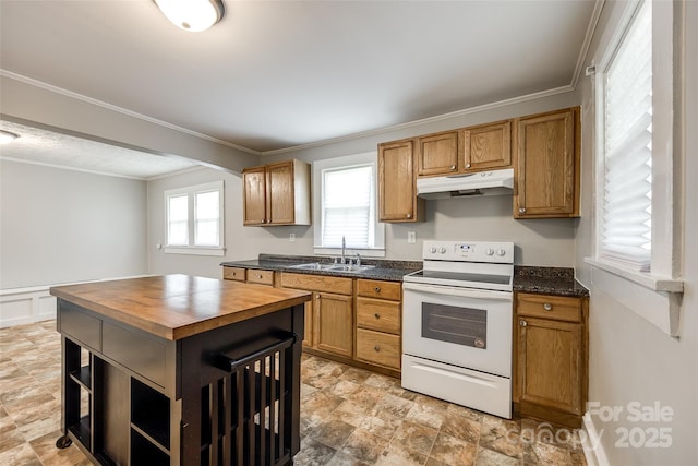 903 Rhode Island Ave, Kannapolis, NC 28083 - kitchen with electric stove, under cabinet range hood, open shelves, butcher block countertops, and stone finish floors