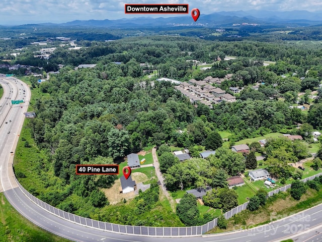 40 Pine Ln, Asheville, NC 28806 - photo 47