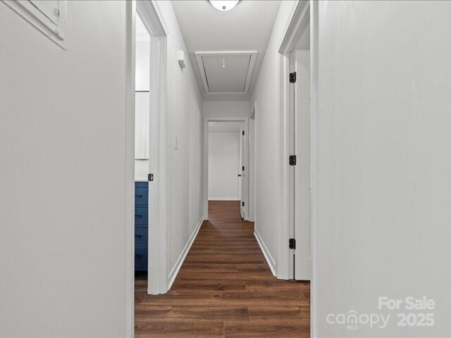 136 Chester Park Cir, Chesterfield, SC 29709 - photo 20