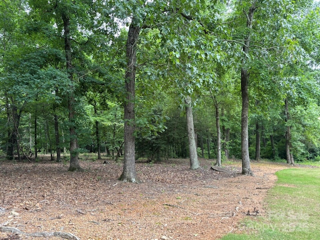 116 Long Cv, New London, NC 28127 - photo 2