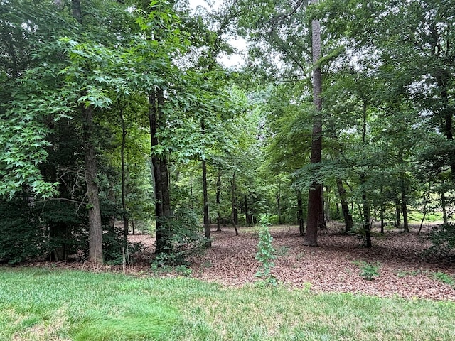 116 Long Cv, New London, NC 28127 - photo 4