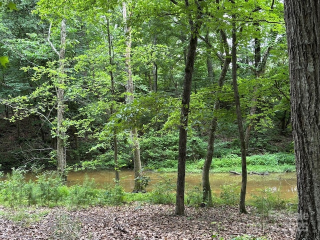 116 Long Cv, New London, NC 28127 - photo 5