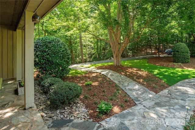270 Foxwood Dr, Tryon, NC 28782 - view of yard