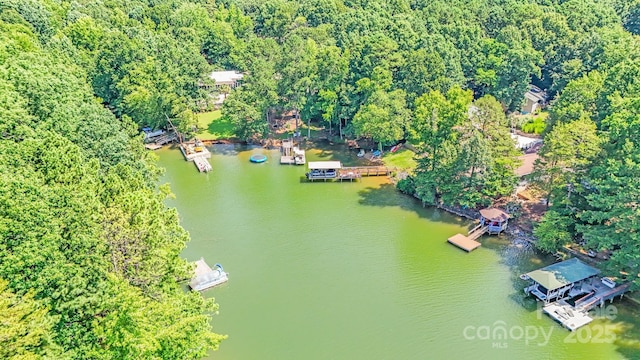 2116 Bon Villa Way, Fort Mill, SC 29708 - aerial view of a large body of water