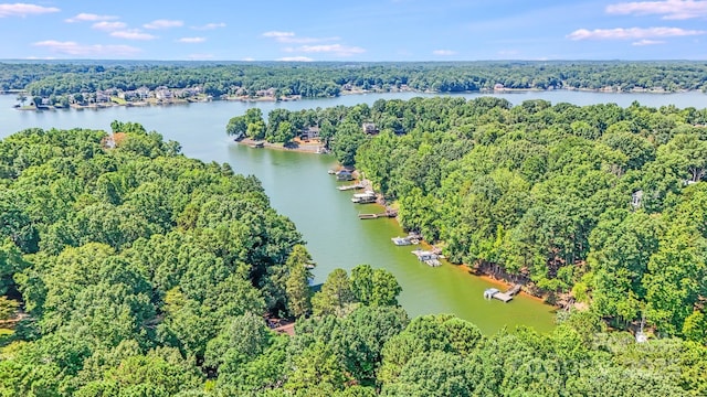 2116 Bon Villa Way, Fort Mill, SC 29708 - aerial view of property's location with a heavily wooded area and a large body of water