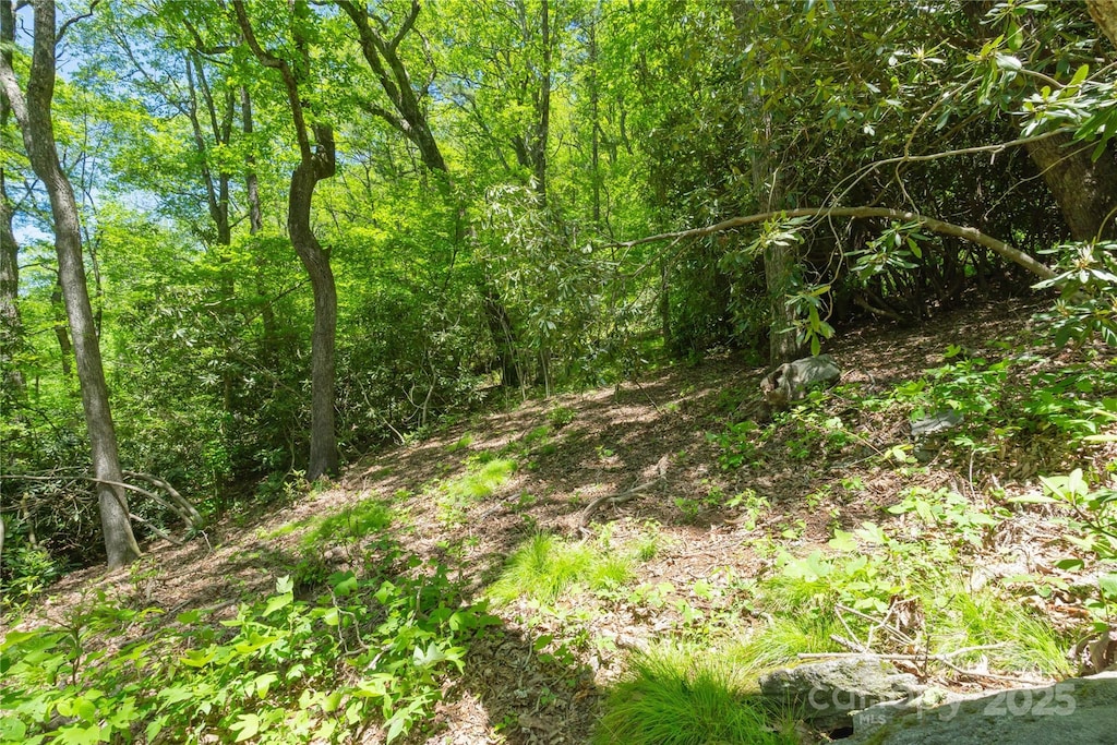 TBD Upper Lake Rd Unit 69, Highlands, NC 28741