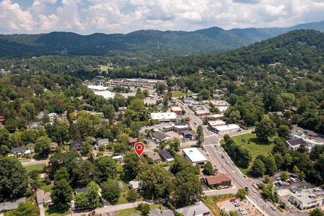 9 Colonial Pl, Asheville, NC 28804 - photo 30