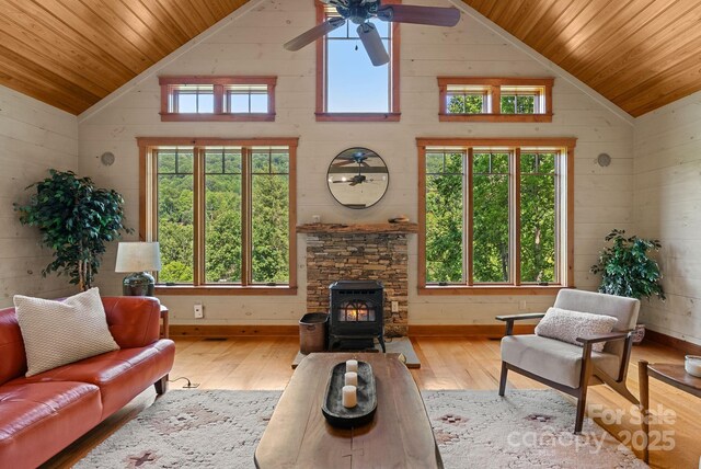 147 Brantley Branch Ln, Waynesville, NC 28786 - photo 9