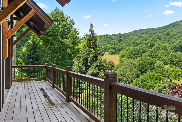 147 Brantley Branch Ln, Waynesville, NC 28786 - photo 18