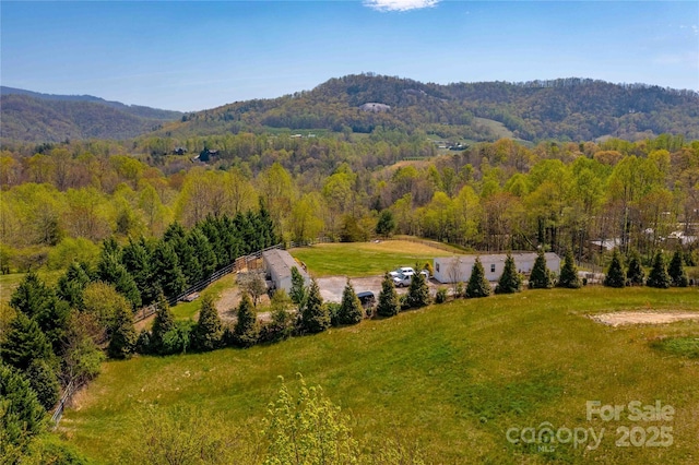 194 Baby Jane Ln, Hendersonville, NC 28792 - photo 6