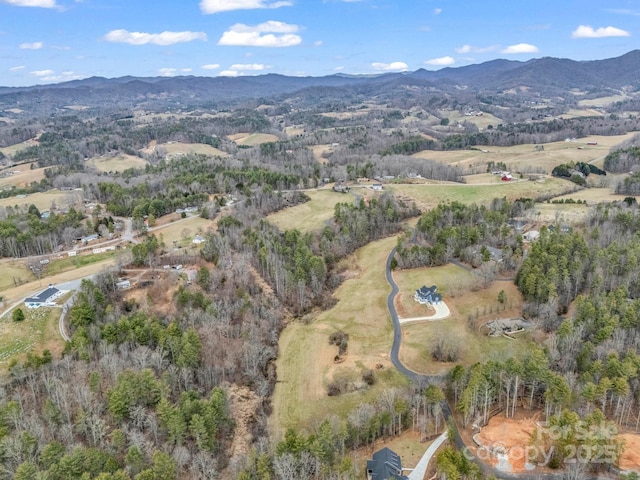 9999 Gabriels Creek Rd Unit 40, Mars Hill, NC 28754