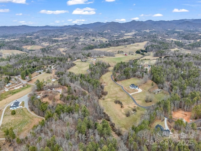 9999 Gabriels Creek Rd Unit 40, Mars Hill, NC 28754