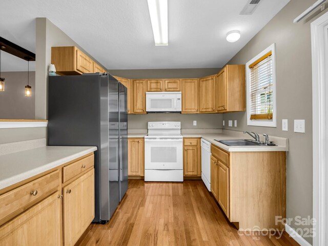 34 Douglas Fir Ave, Arden, NC 28704 - photo 8