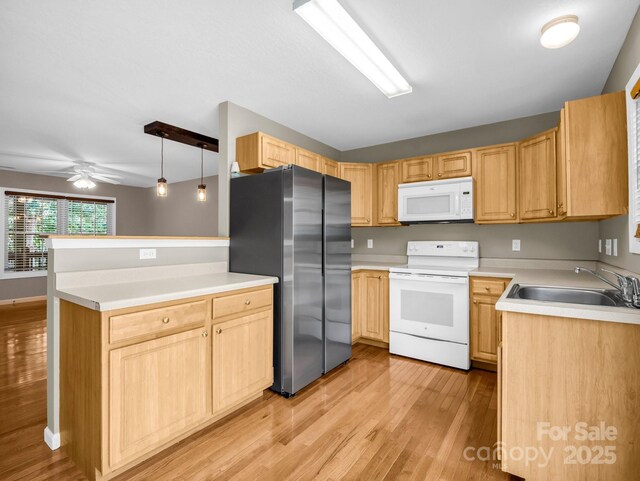 34 Douglas Fir Ave, Arden, NC 28704 - photo 9