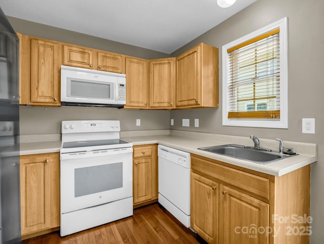 34 Douglas Fir Ave, Arden, NC 28704 - photo 10
