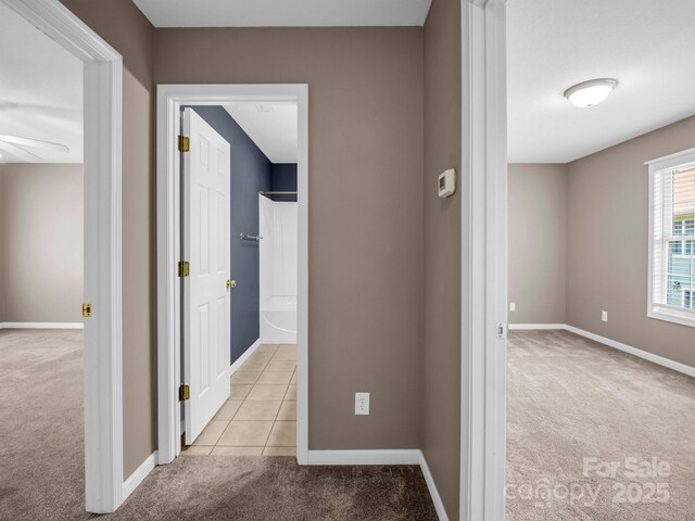 34 Douglas Fir Ave, Arden, NC 28704 - photo 13